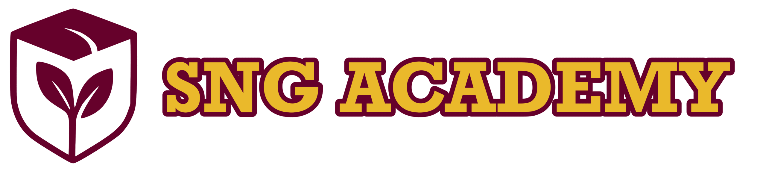 SNG Academy